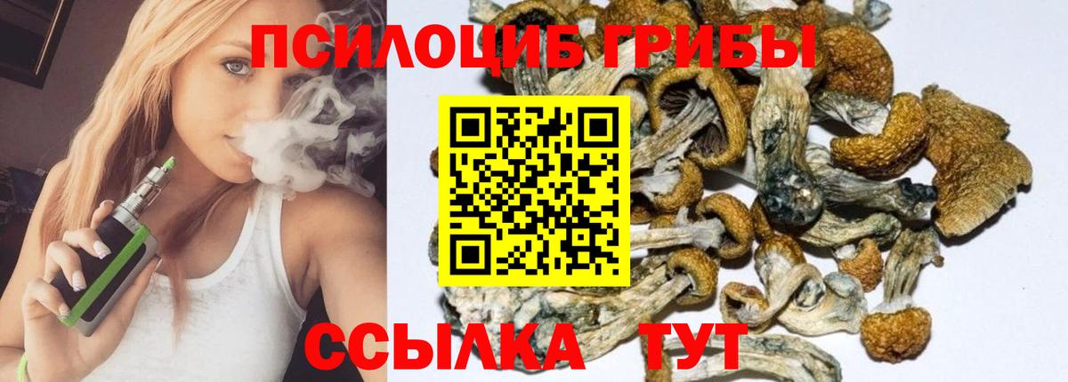 Урай  Псилоцибиновые грибы Psilocybine cubensis  купить наркоту  Вход с VPN 